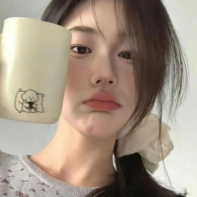 追讨者